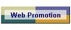 Web Promotion